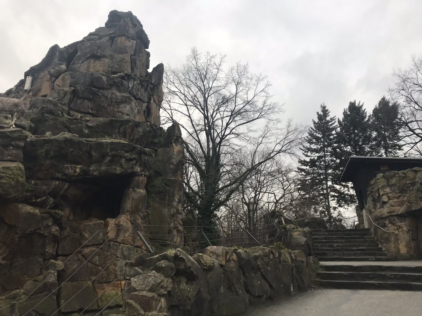 Ibex enclosure 290118