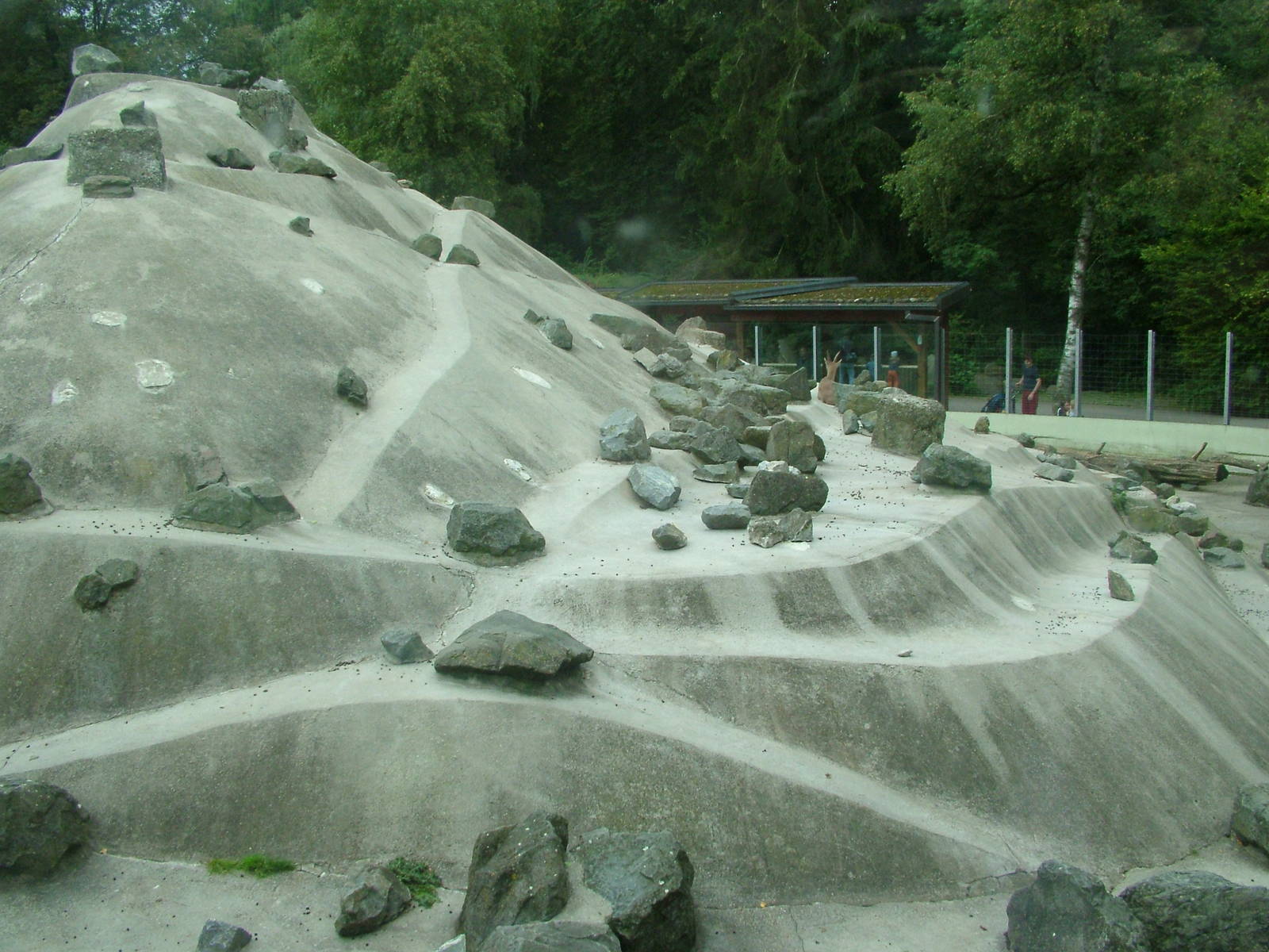 Ibex enclosure at Augsburg 03/09/06
