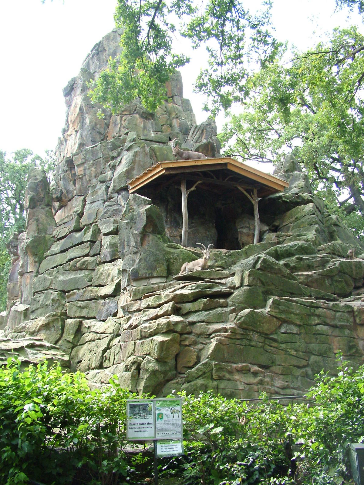 Ibex Exhibit at Berlin Zoo, 31/08/11