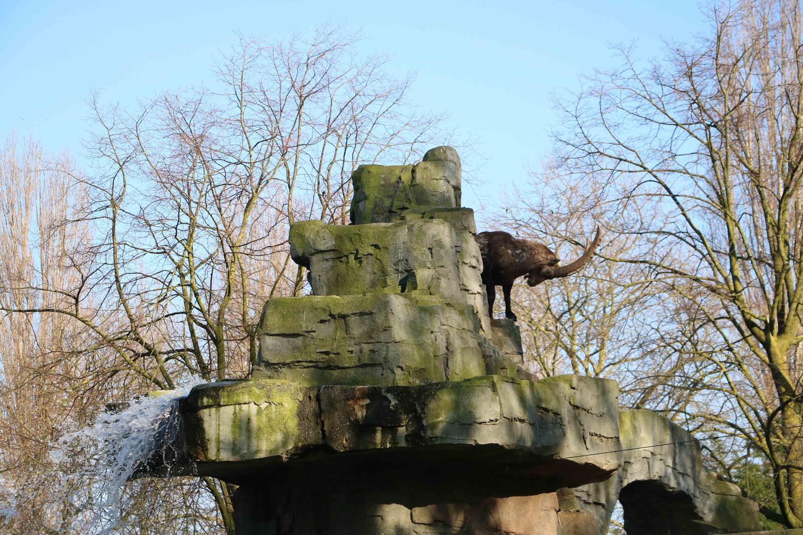 Ibex mountain, February 2016