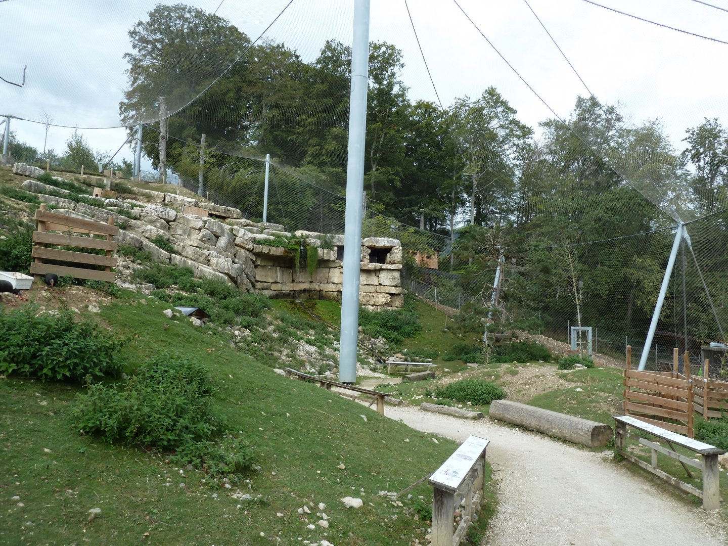 Ibex & vulture walk-through