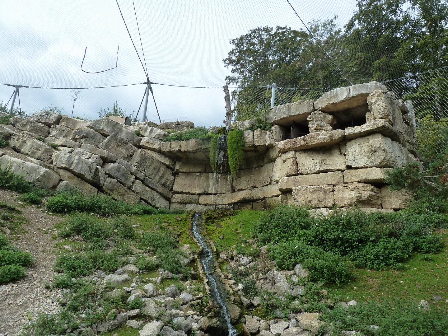 Ibex & vulture walk-through