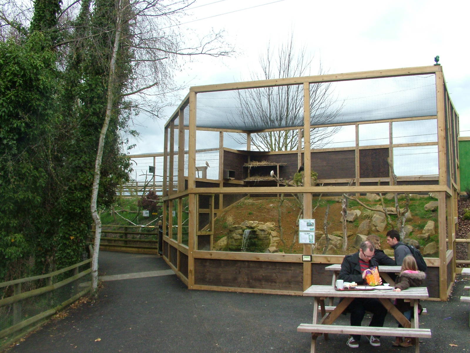 Ibis and Egret aviary at Shepreth 05/04/10