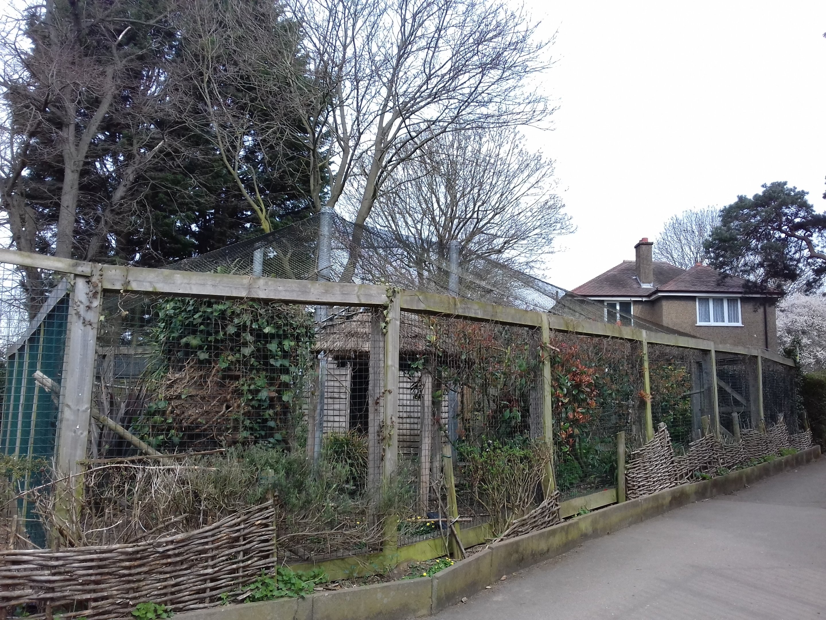 Ibis and egret aviary