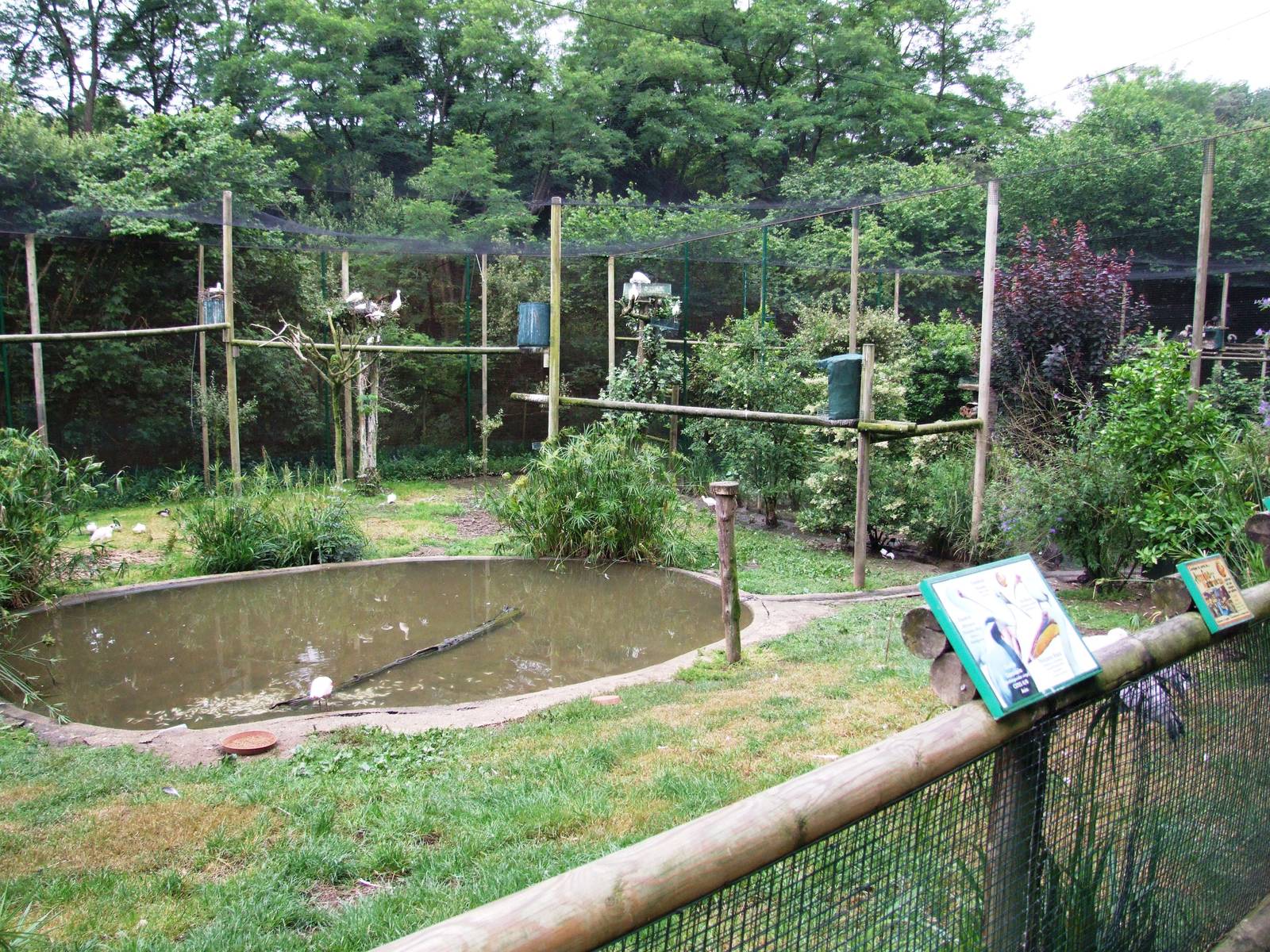 Ibis and Pelican Aviaries Interior at Santillana del Mar, 13/06/15