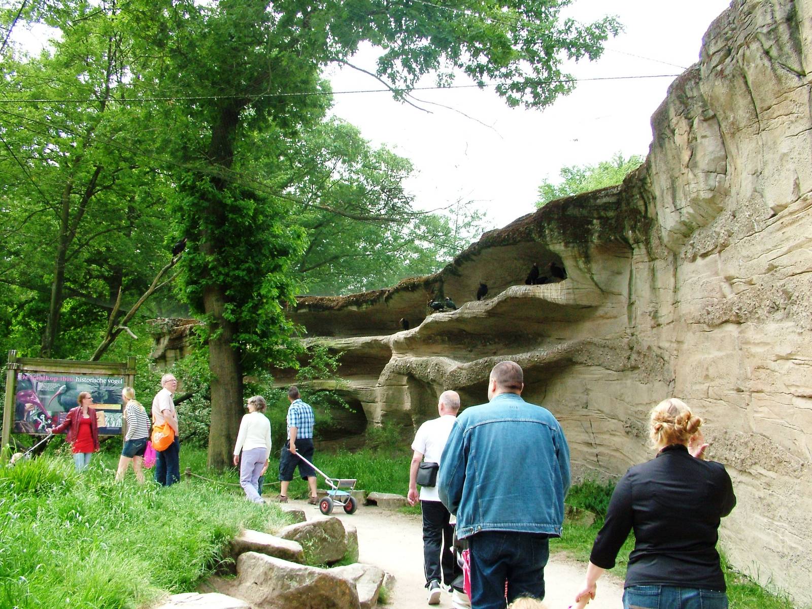 Ibis Aviary at Apenheul, 30/05/12