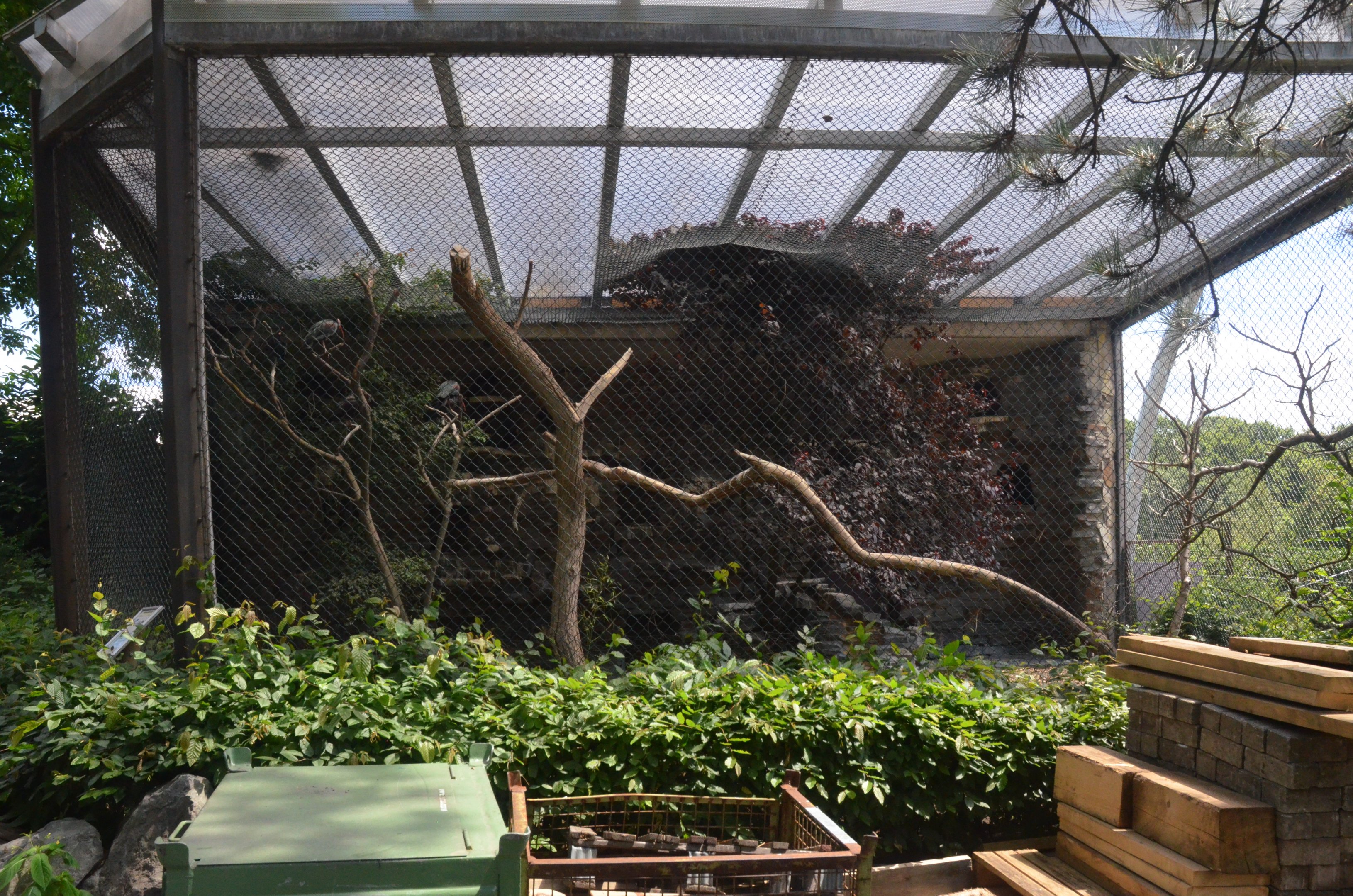 Ibis Aviary at Duisburg, 17/06/19