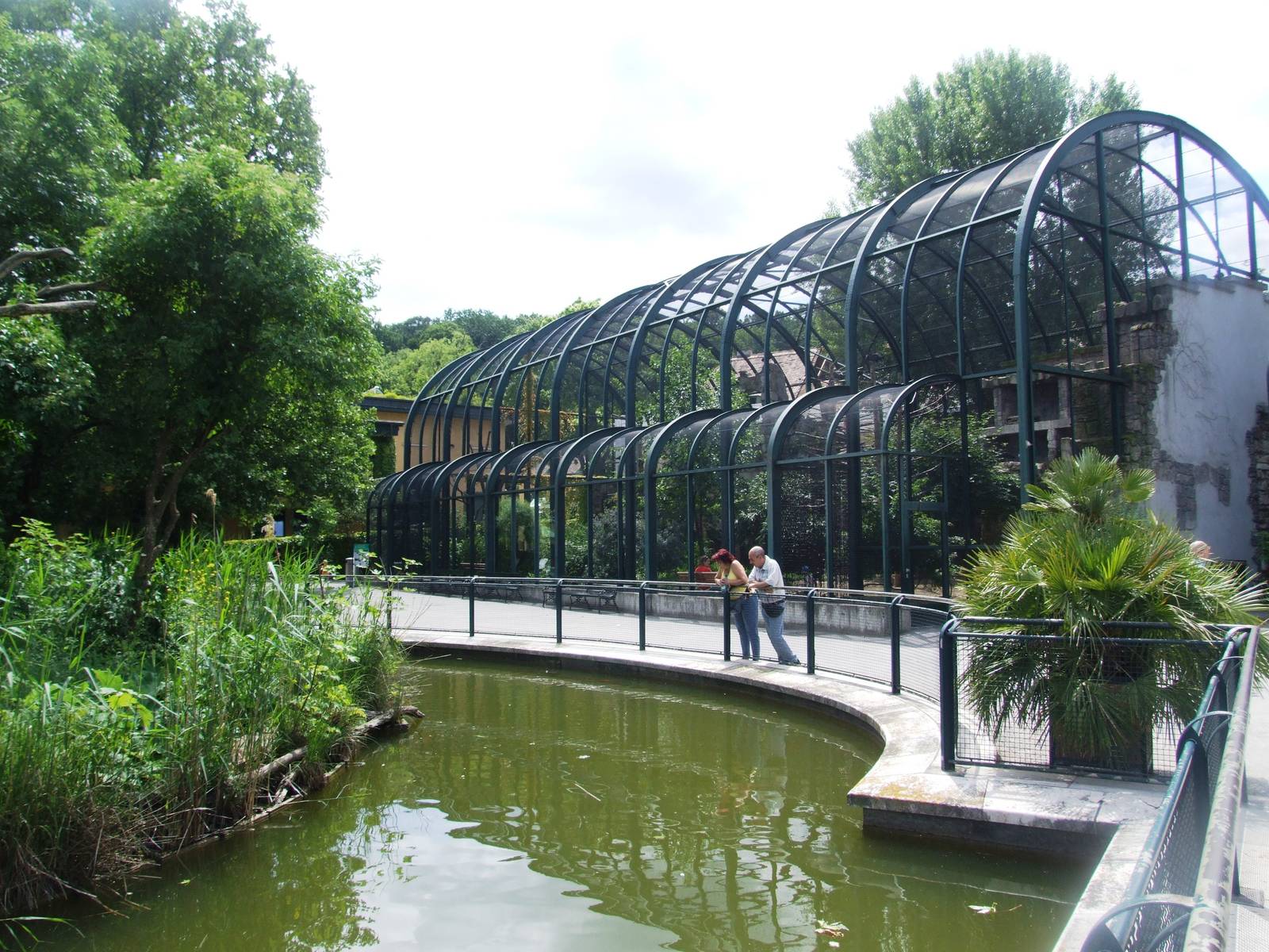 Ibis Aviary at Vienna, 14/06/13