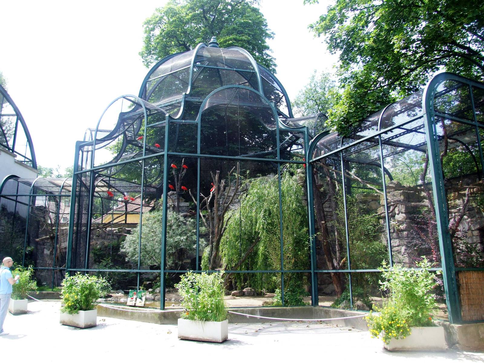 Ibis Aviary at Vienna, 14/06/13