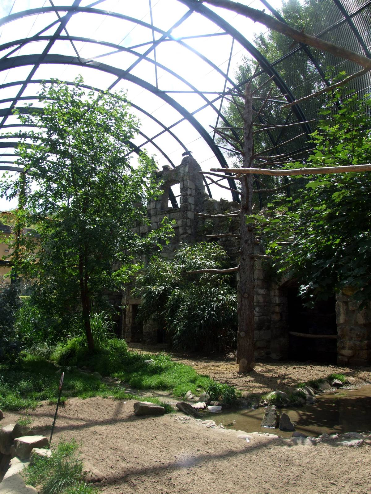 Ibis Aviary at Vienna, 14/06/13