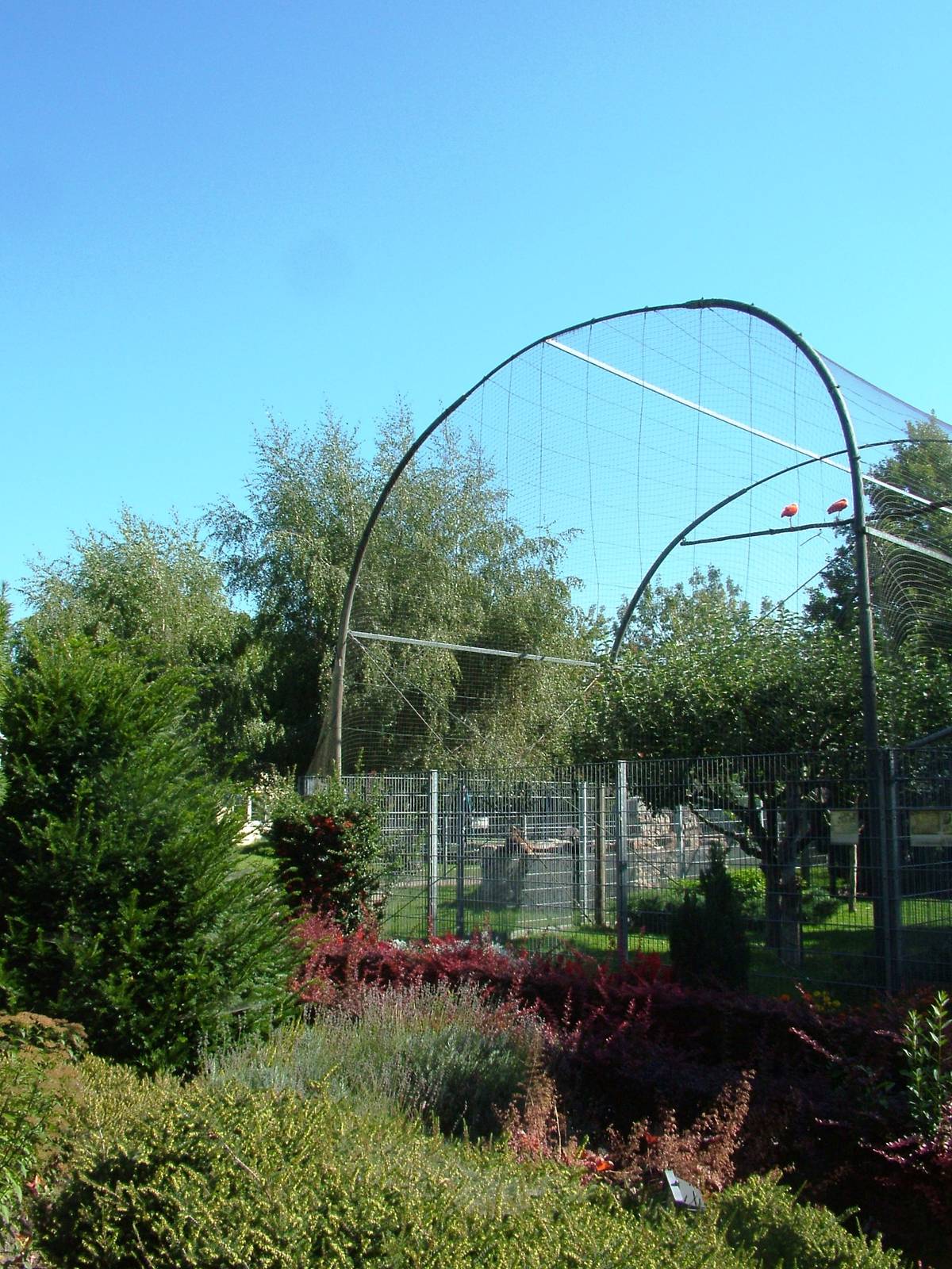 Ibis Aviary at Vogelpark Oberhausen, 06/09/2010