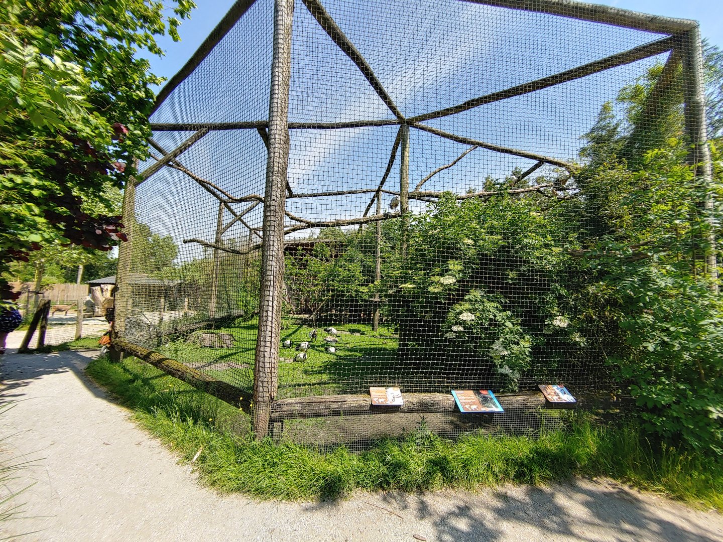 Ibis aviary - front viewing point