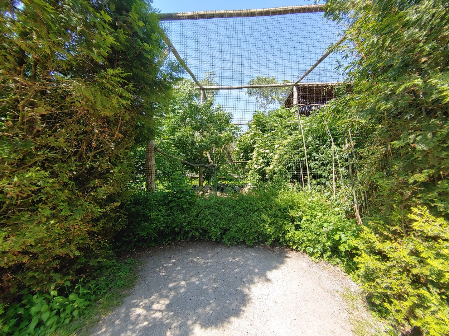Ibis aviary - side viewing point