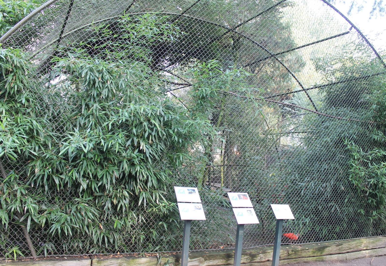 Ibis aviary