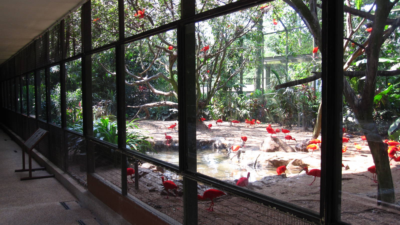 Ibis Aviary