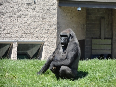 Ibo Surprised to See Me So Close