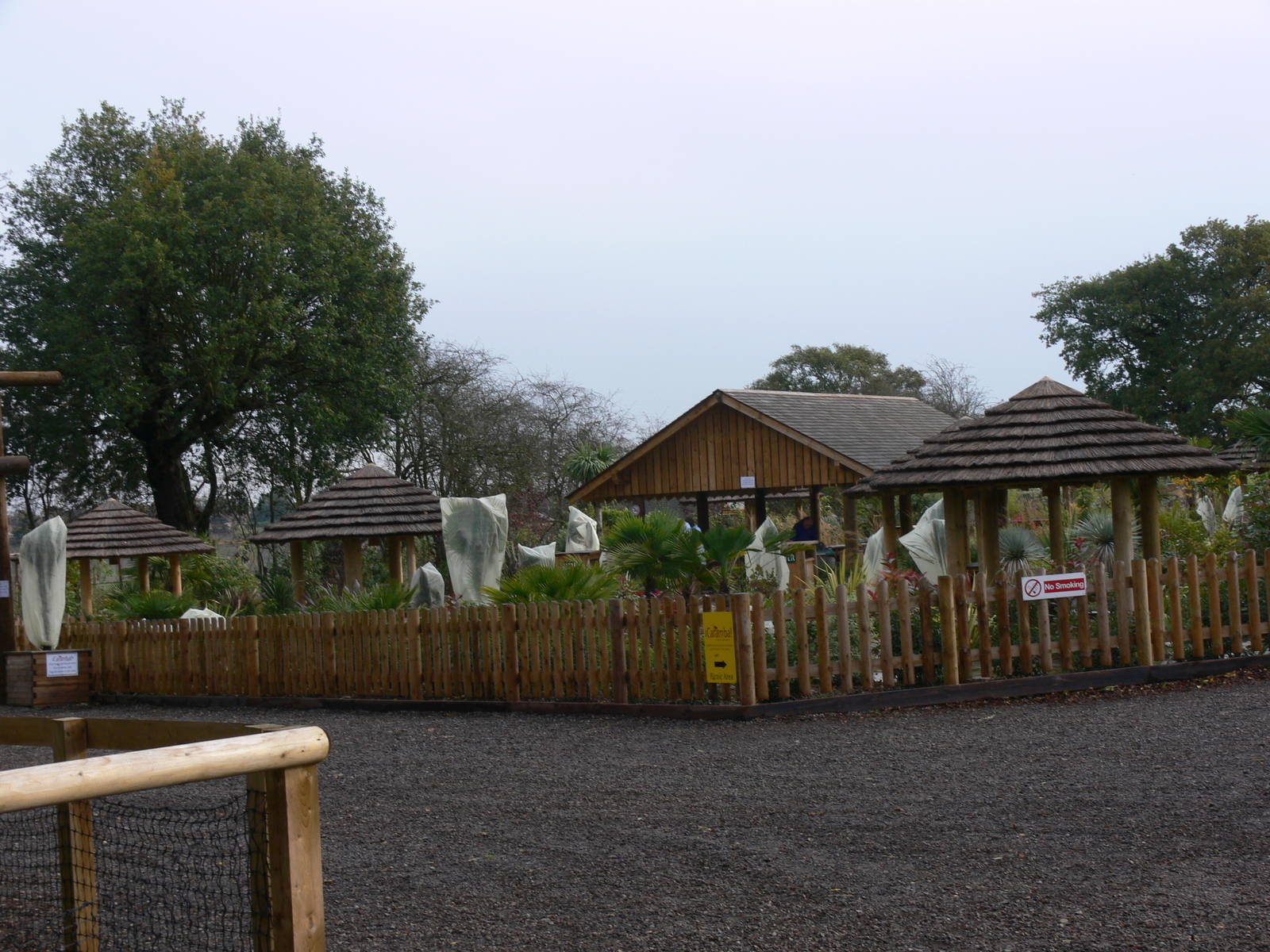 iCaramba at Yorkshire WP 01/11/12