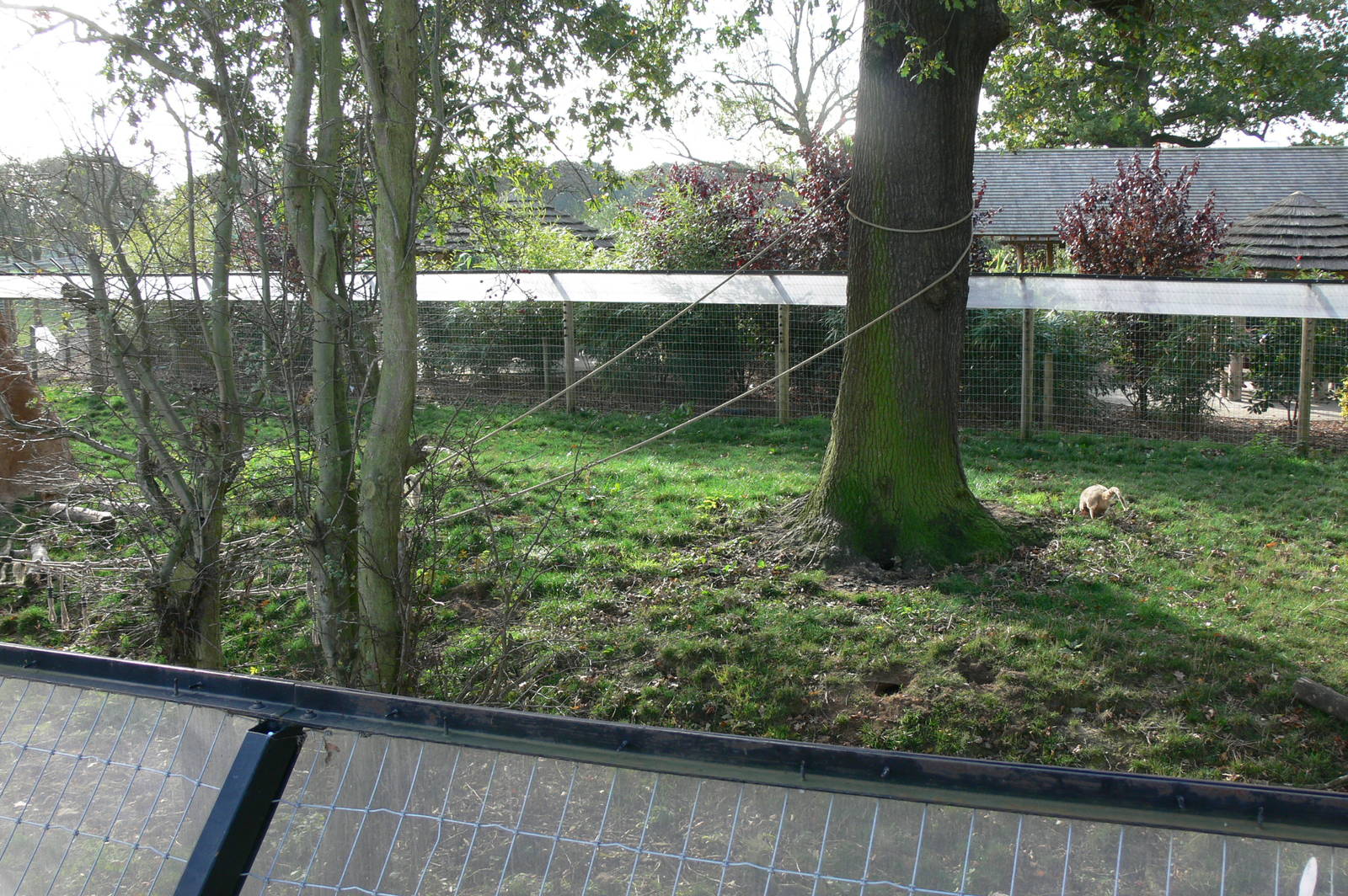 iCaramba at Yorkshire WP, 28/10/14