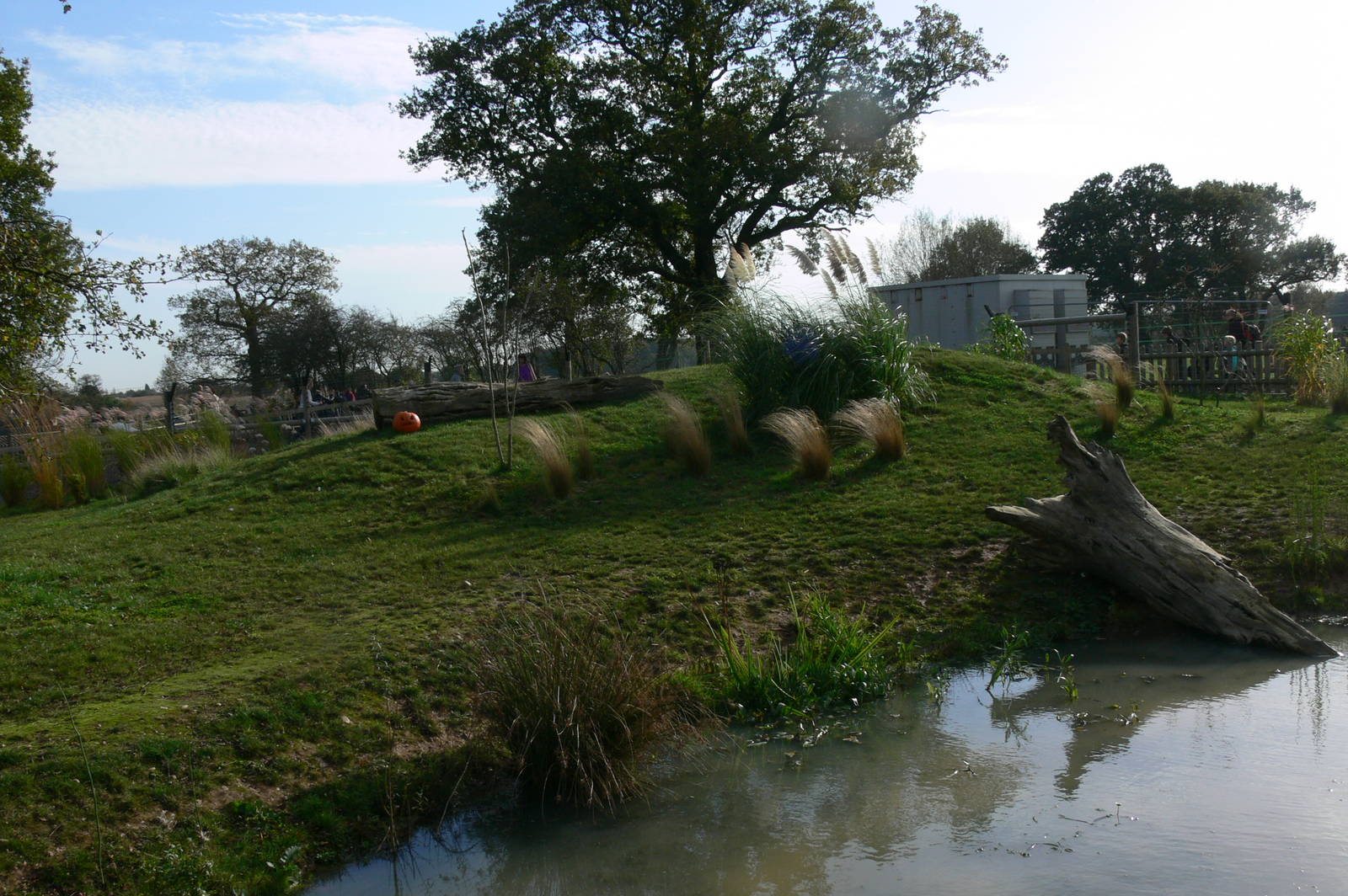 iCaramba at Yorkshire WP, 28/10/14