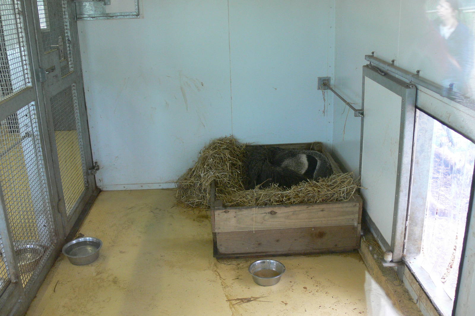 iCaramba at Yorkshire WP, 28/10/14