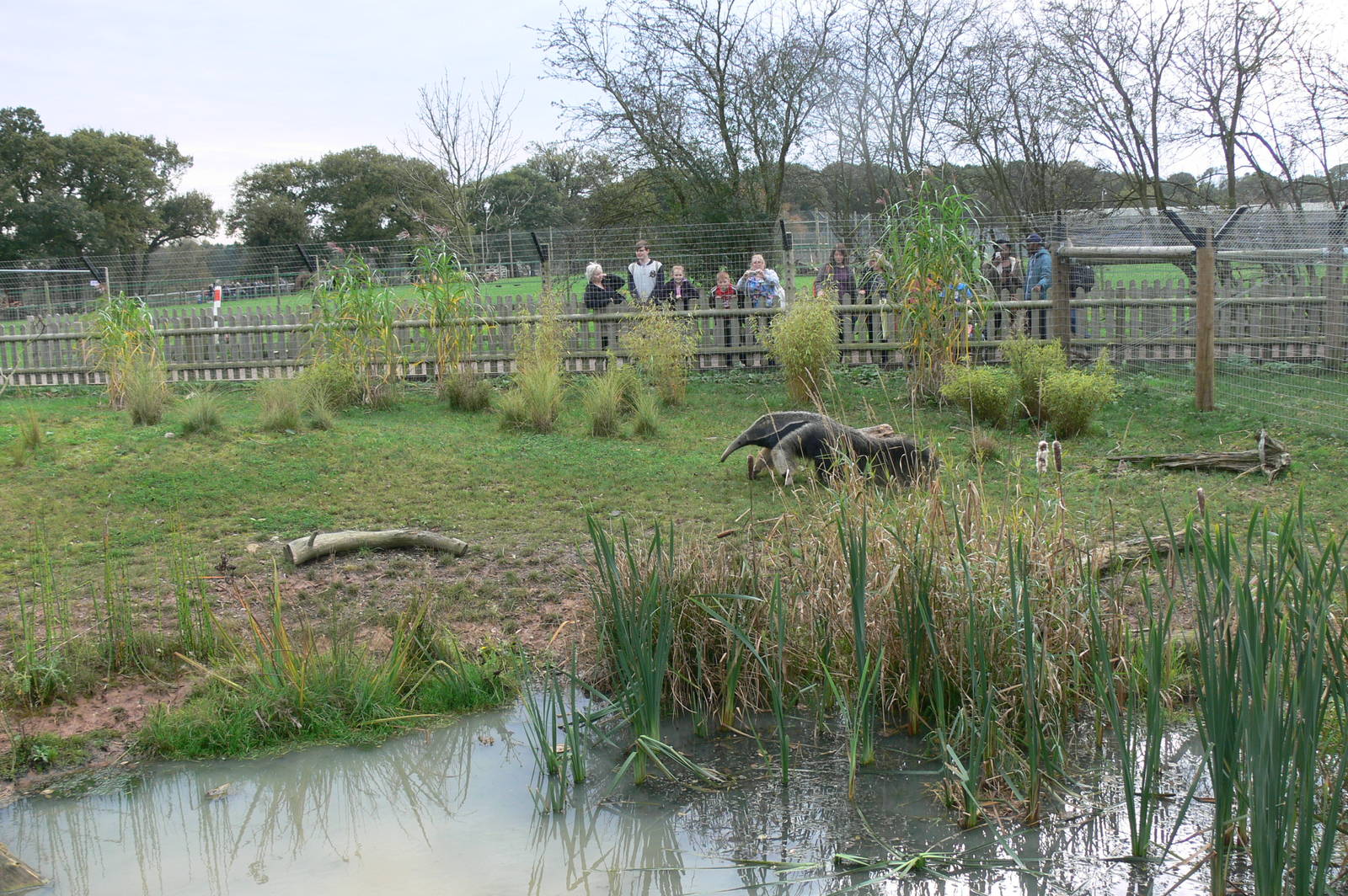 iCaramba at Yorkshire WP, 28/10/14