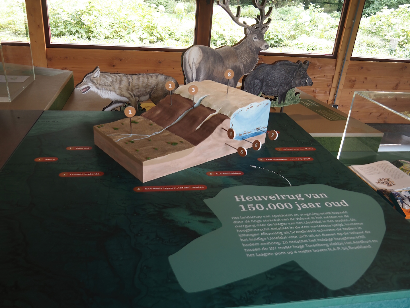 Ice Age geological origins of the Veluwe (Hilly region in which Apeldoorn, Park Berg & Bos and Apenheul are located), 2024-08-18