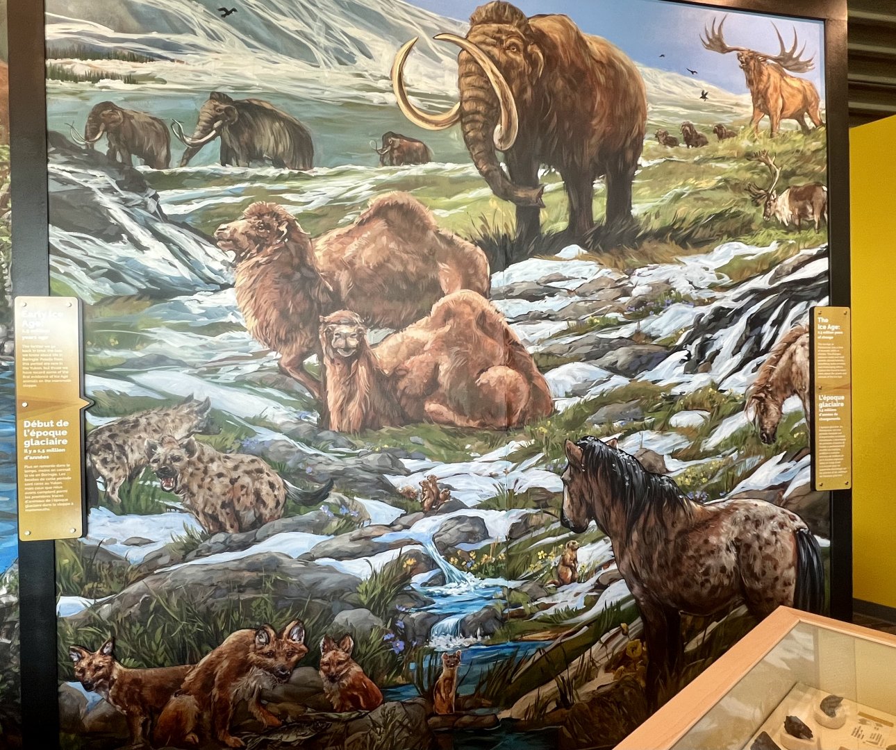 Ice Age Panel