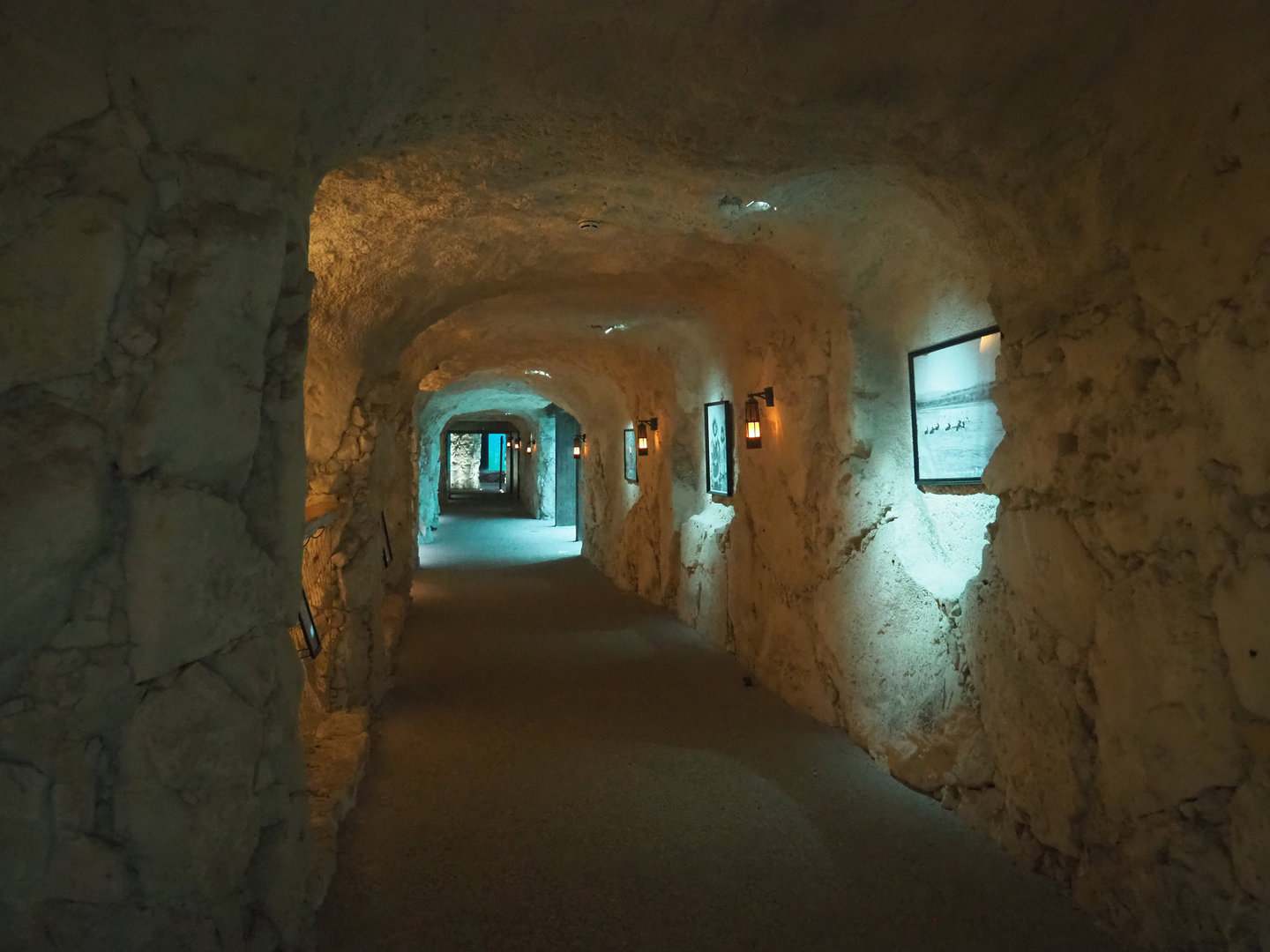 "Ice cave" with Pacific walrus underwater viewing areas, 2022-09-14