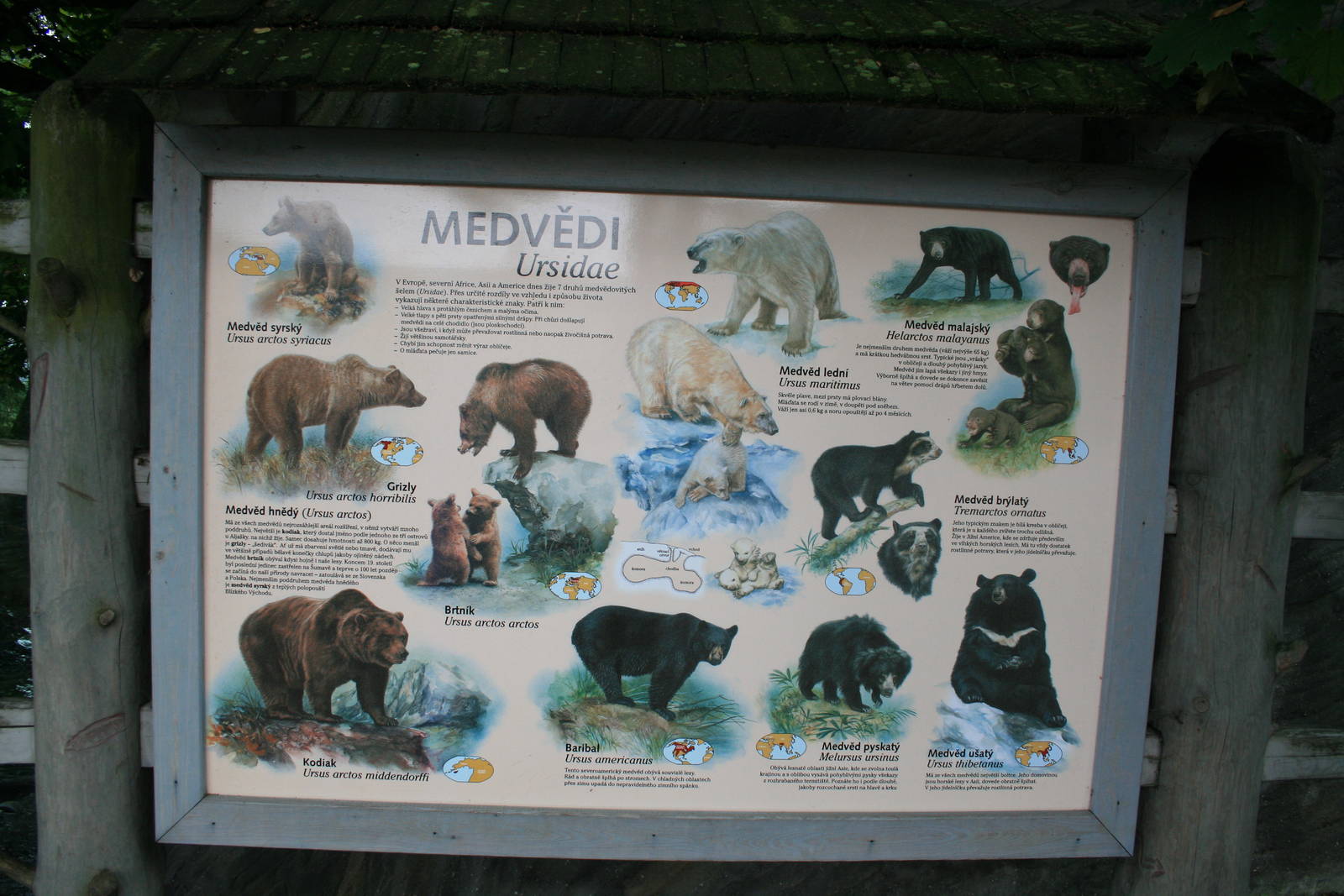 Ice (Polar) bear exhibit