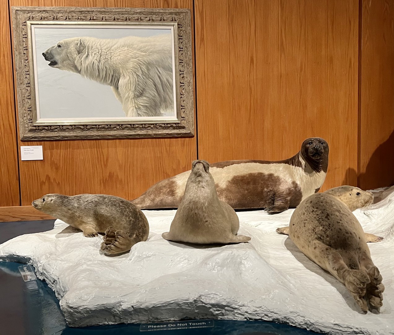 Ice Seals and Polar Bear artwork