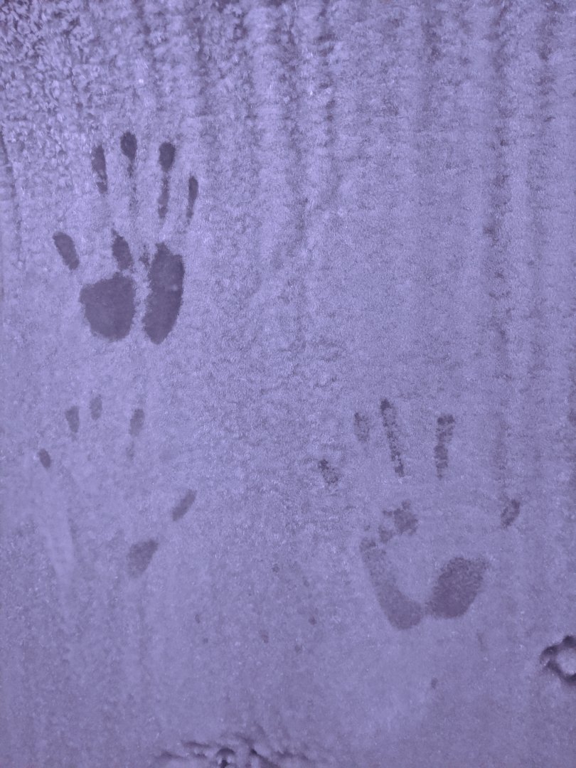 Ice wall - reopening 31-08-2020