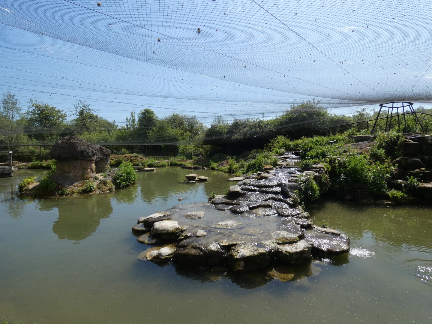 Icelandic lake aviary (2)