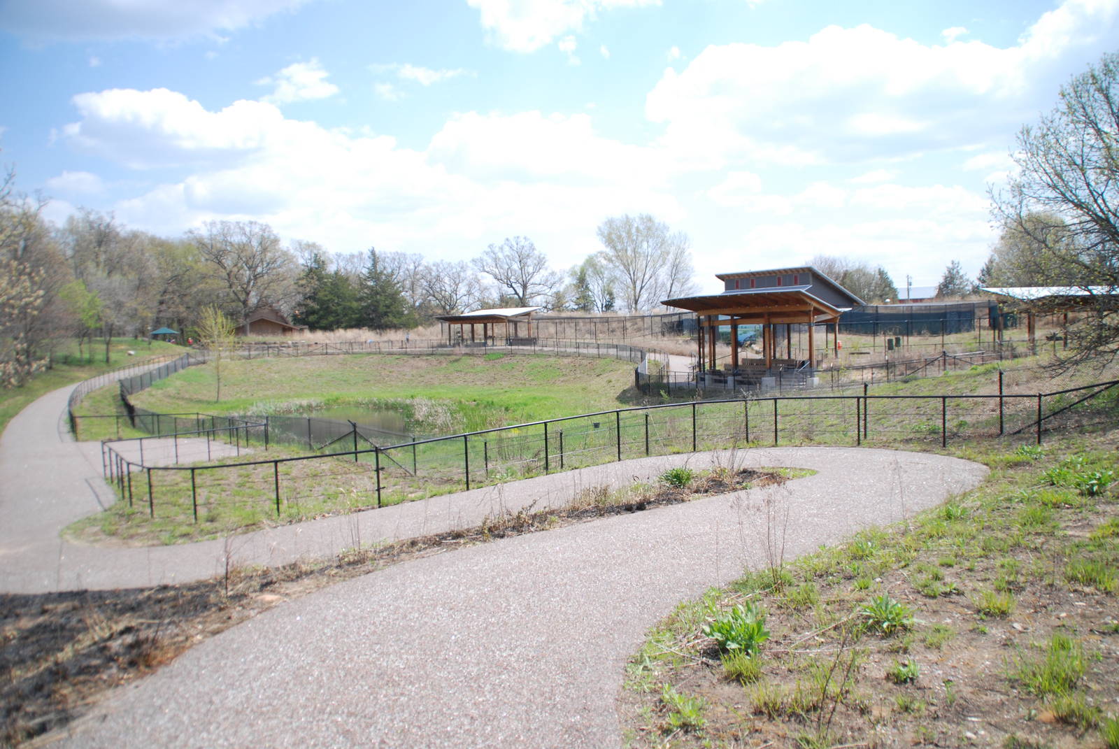 ICF - African Cranes