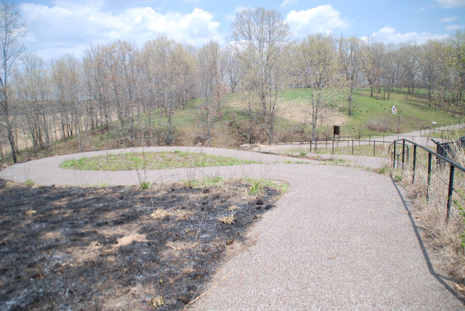 ICF - Controlled Burn Area
