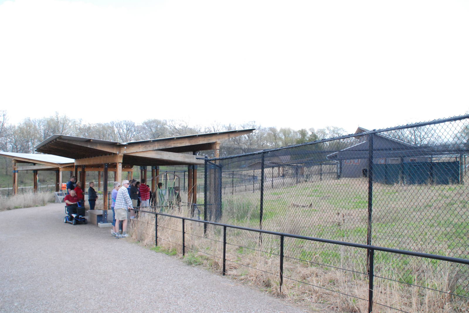 ICF - Crowned Crane Exhibit