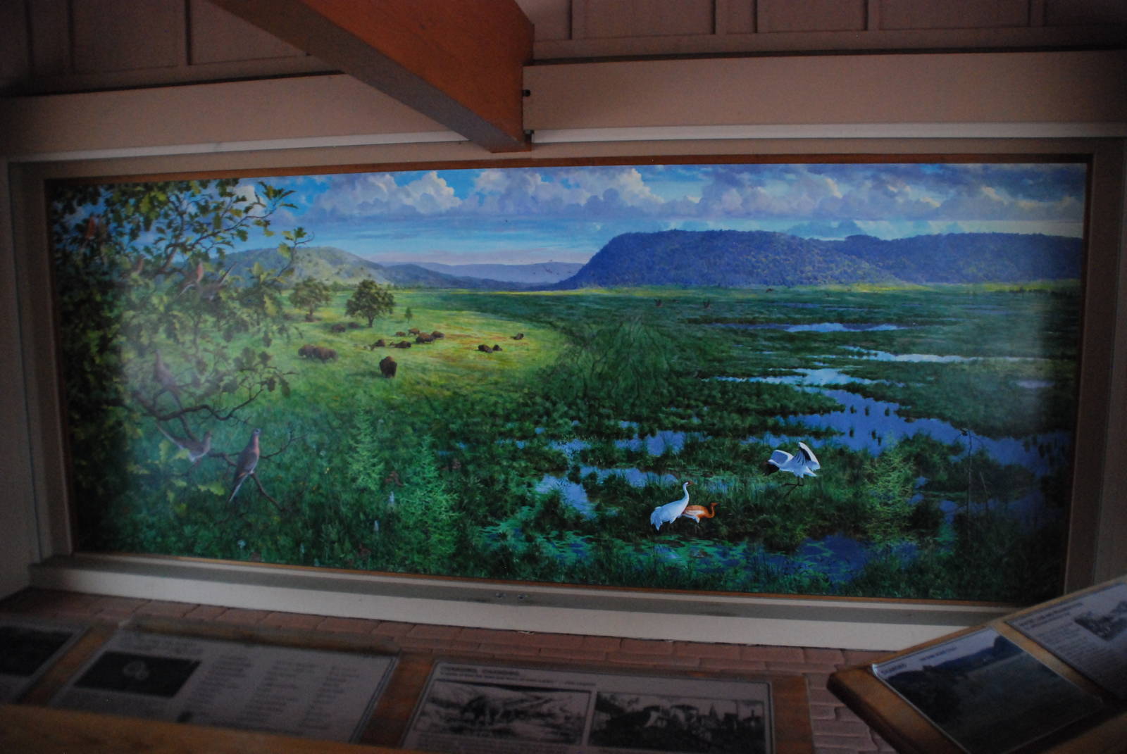 ICF - Whooping Crane Mural