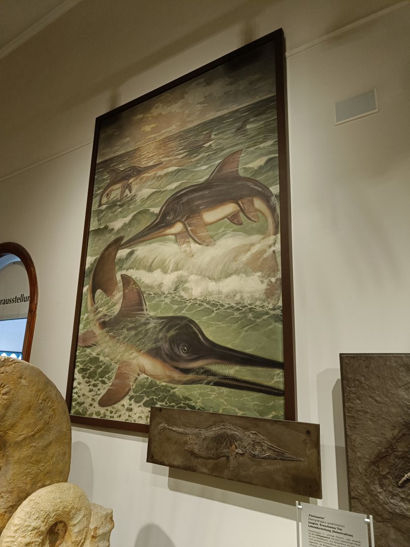 Ichthyosaurs and artwork - Magdeburg Museum