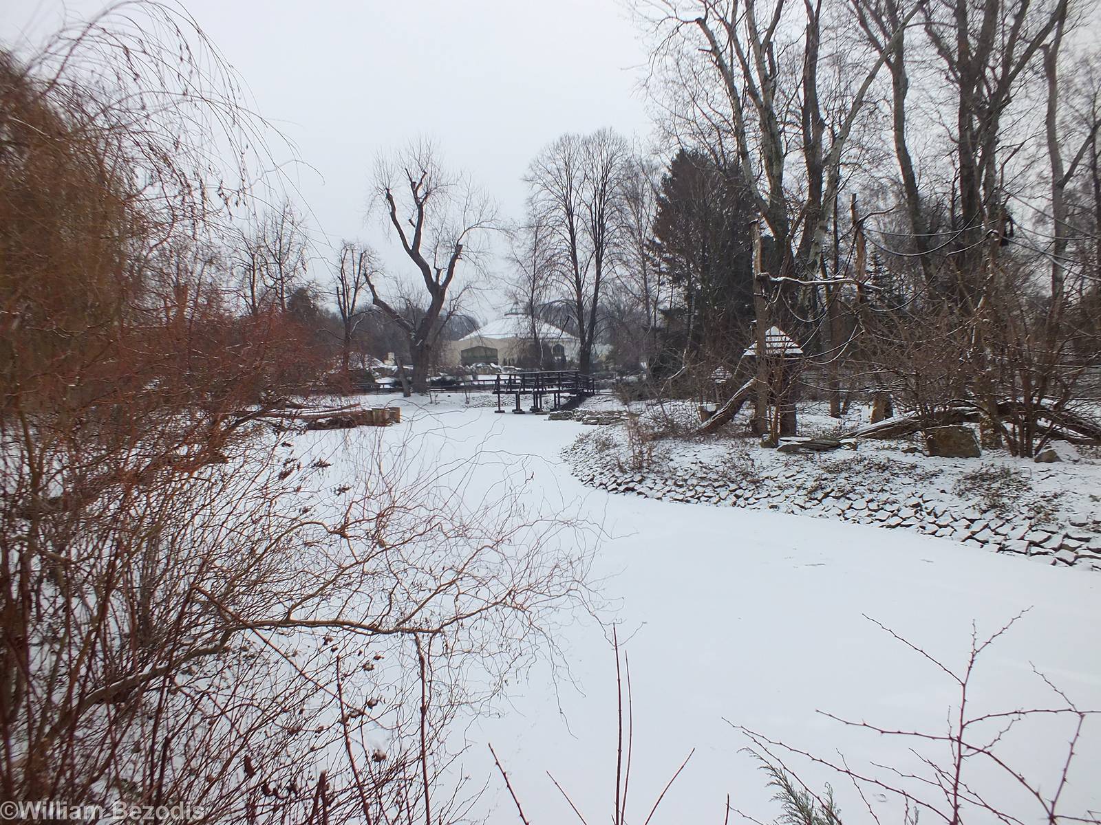 Icy Landscape at the Zoo