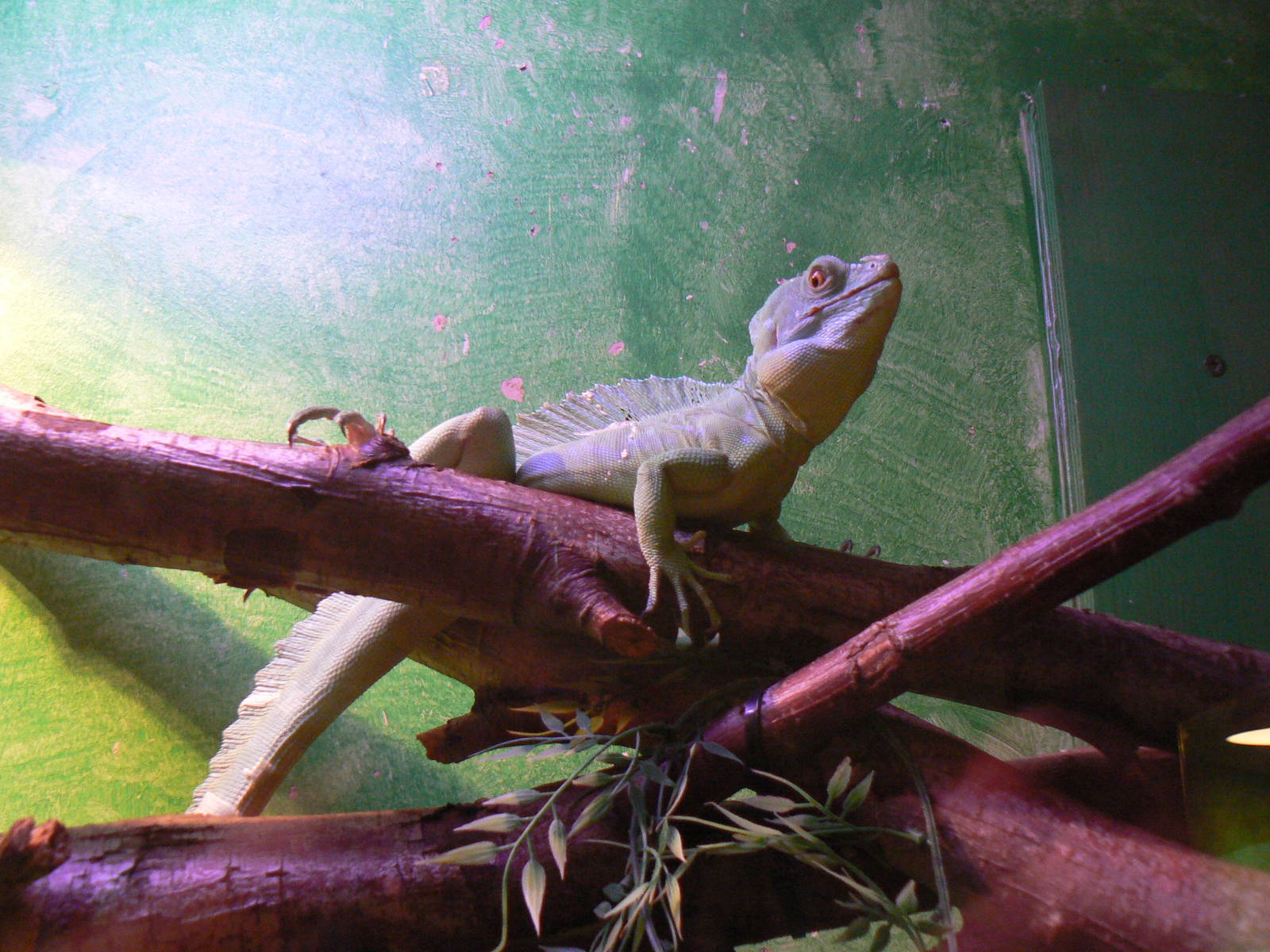 Id? - 28 November 2015