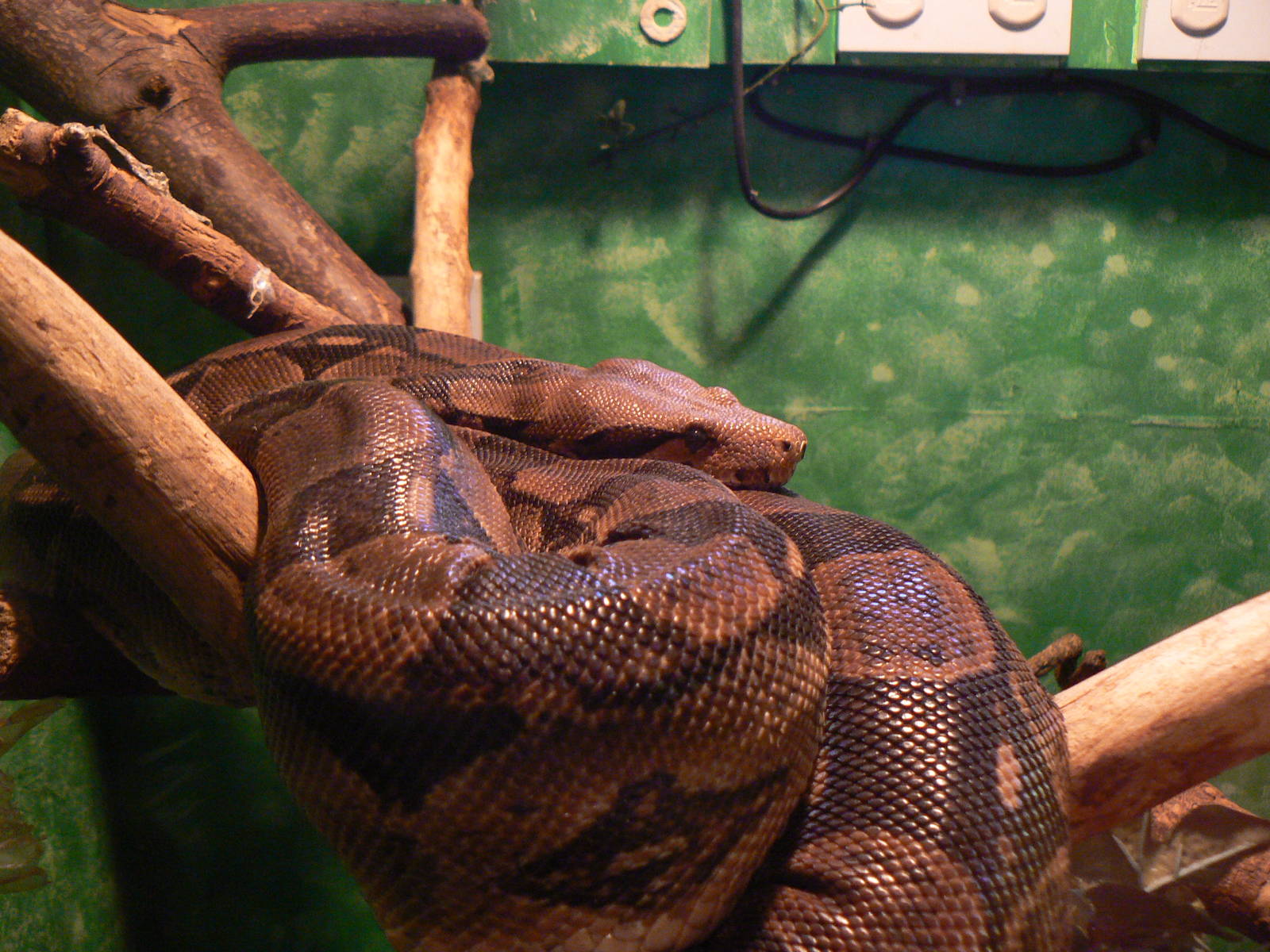 Id? - 28 November 2015