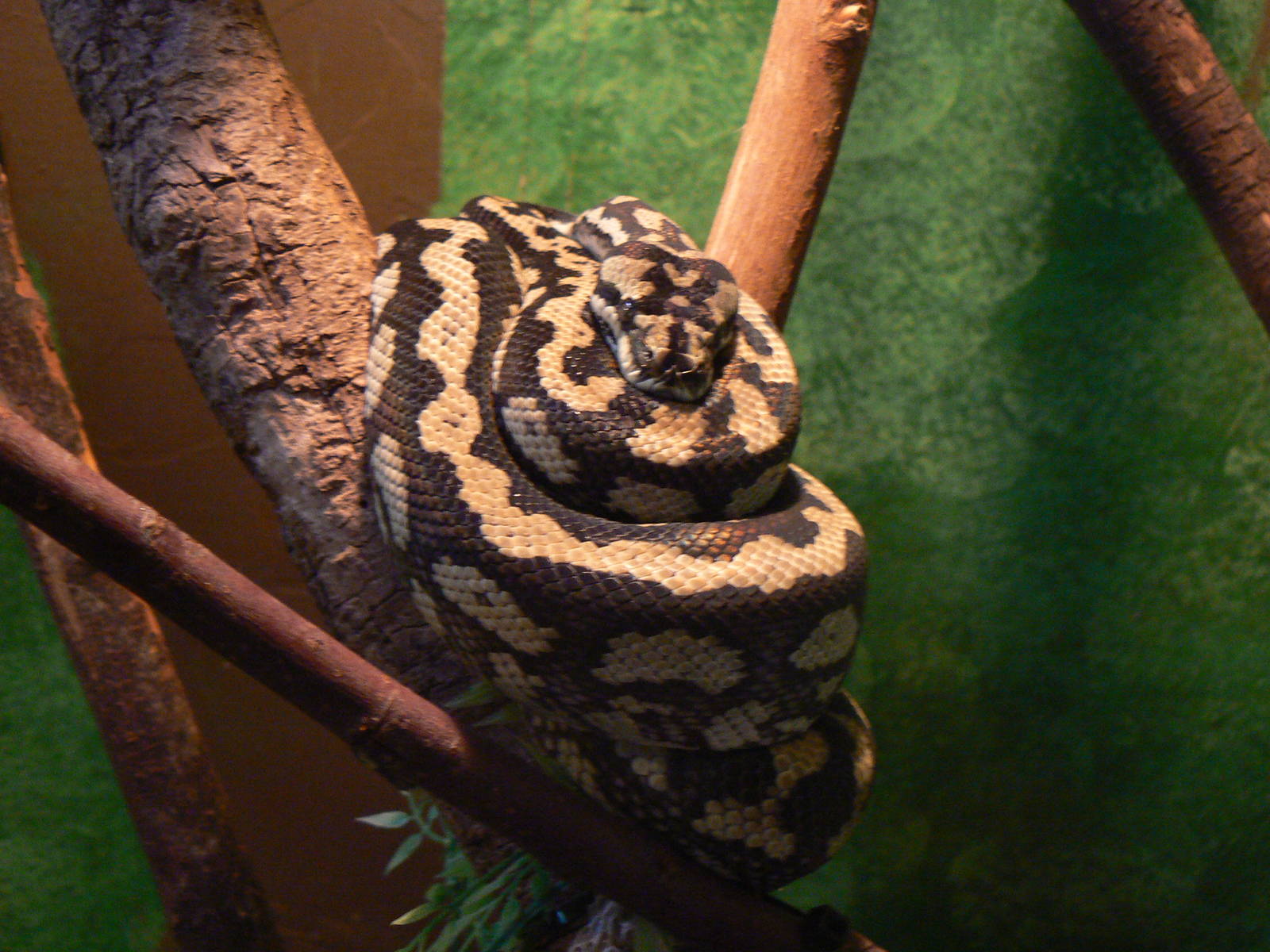 Id? - 28 November 2015