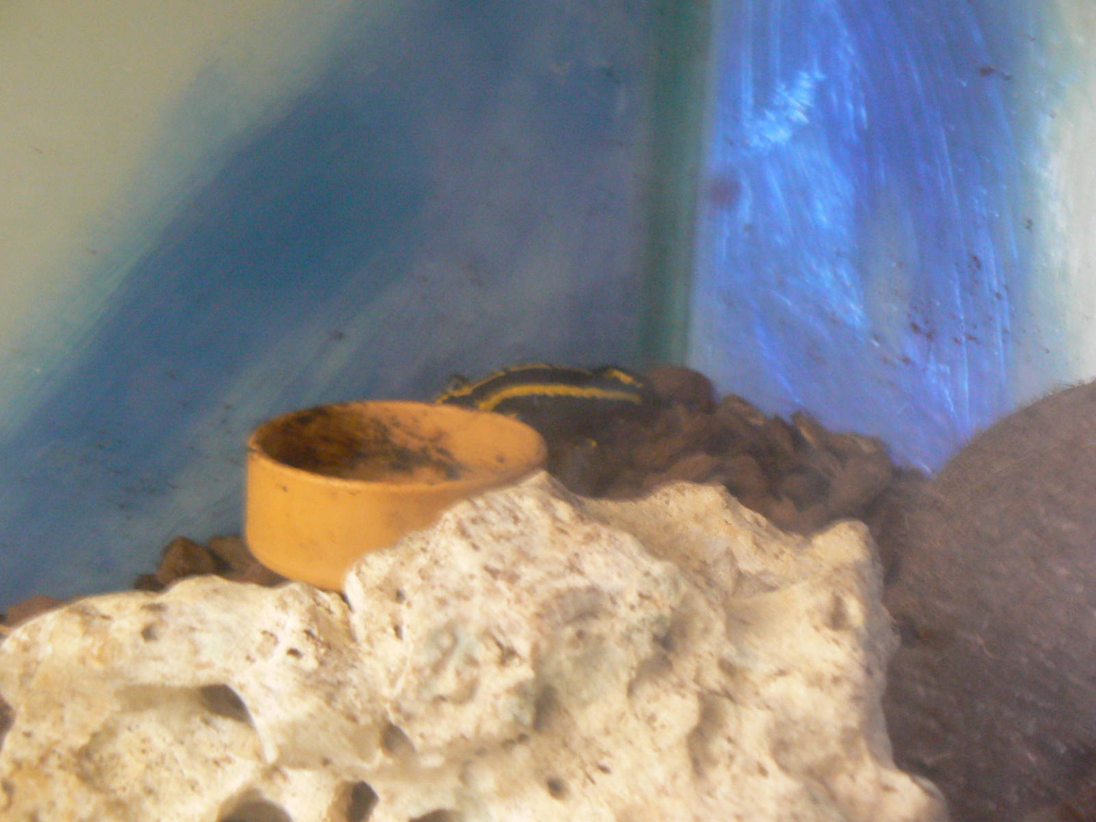 Id? - 28 November 2015