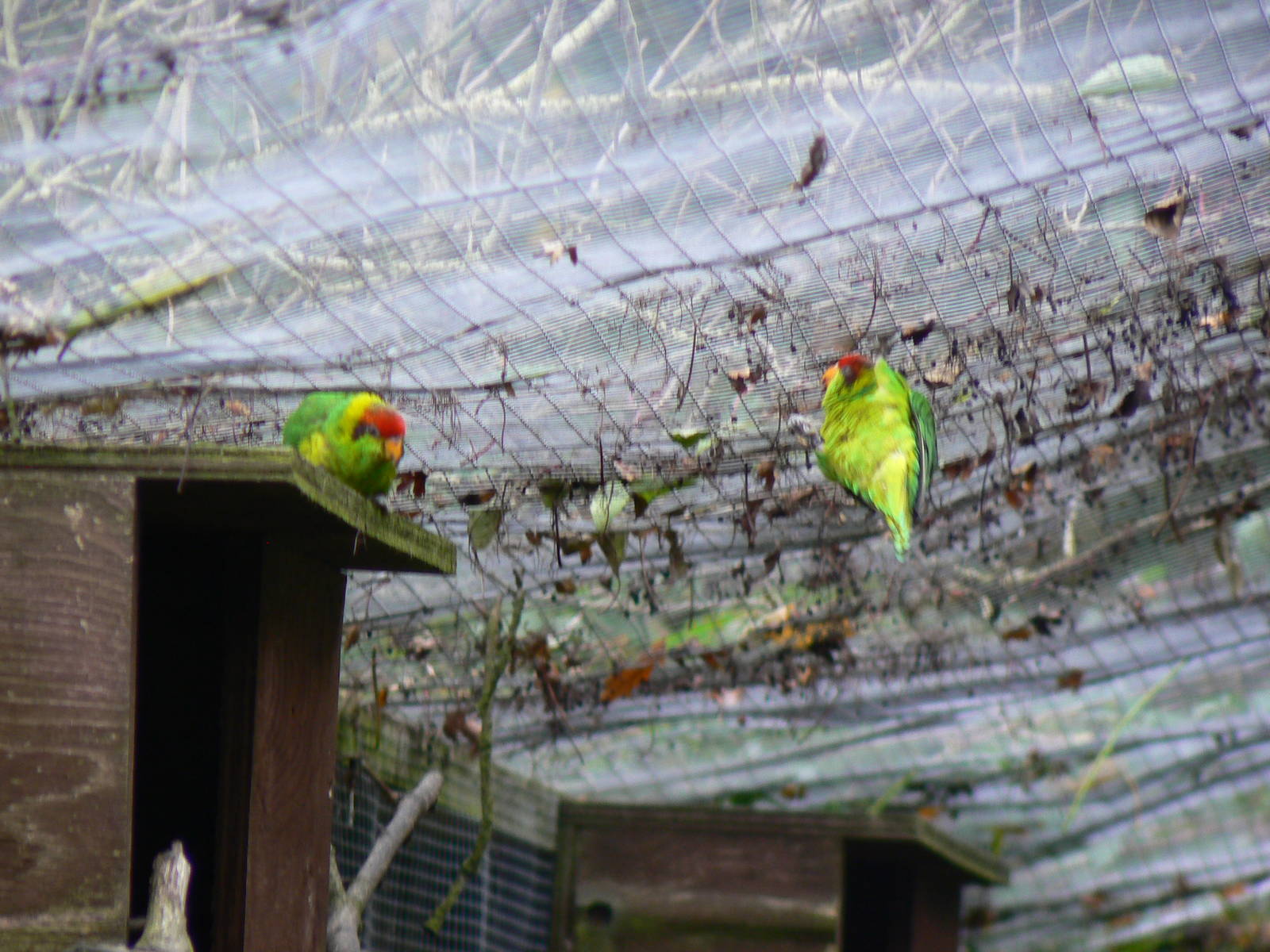 ID? - 8 October 2015