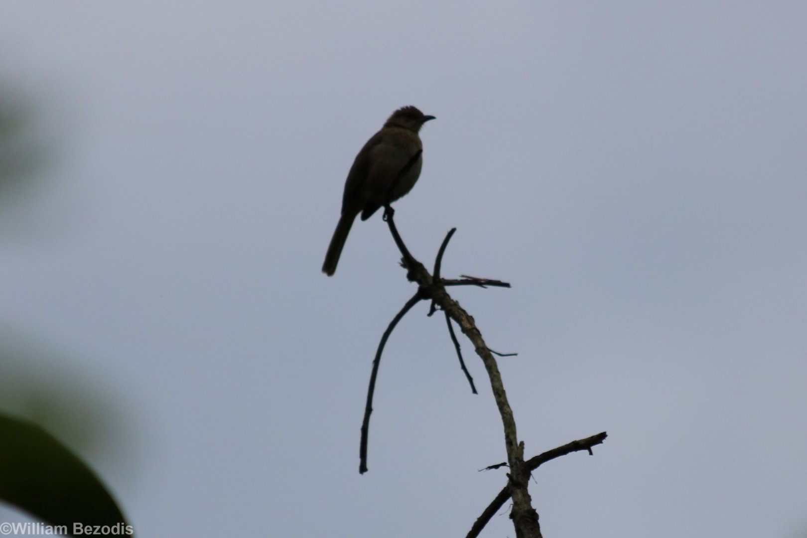 ID? - Baan Maka Chalets