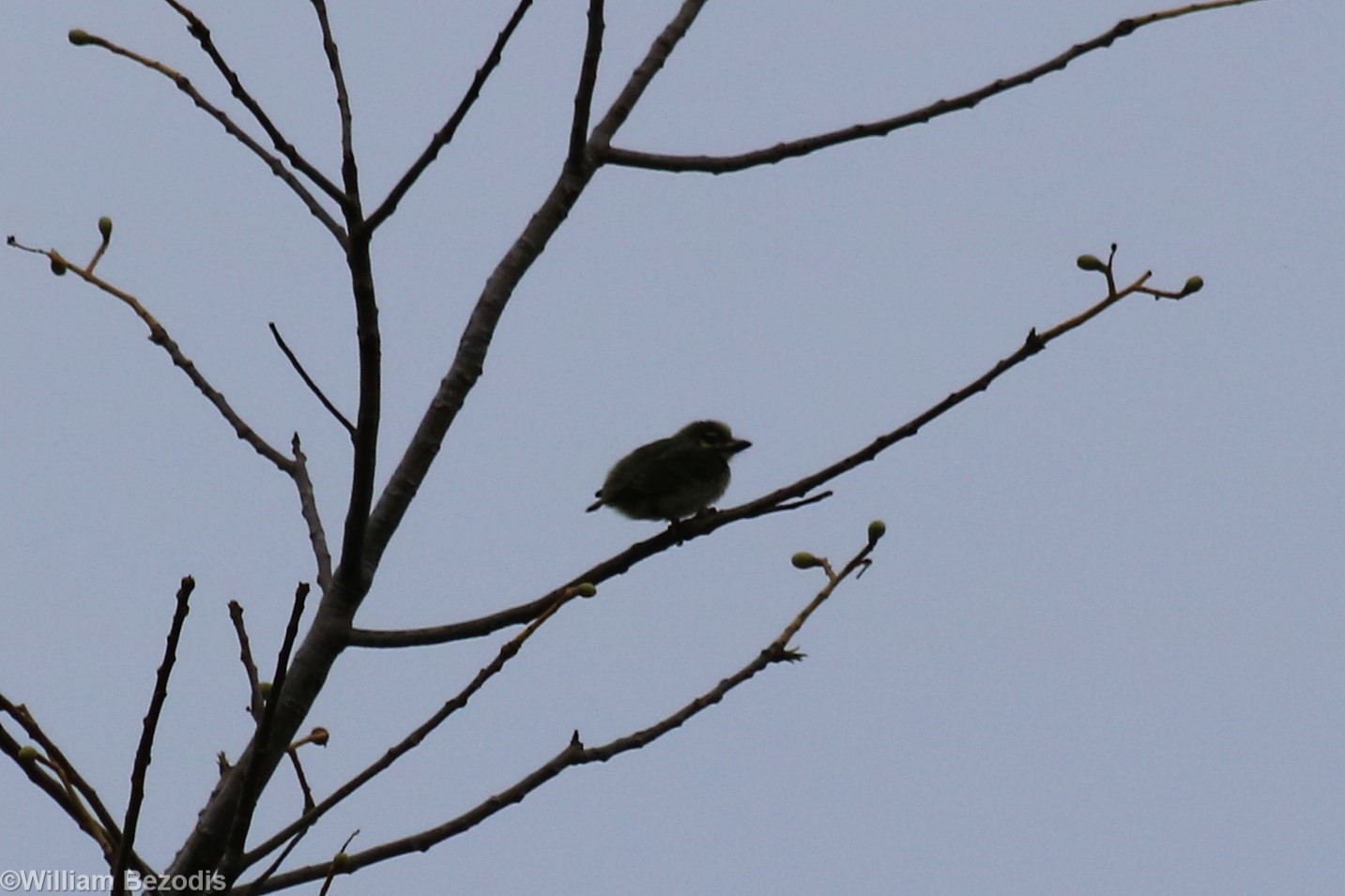 ID? - Baan Maka Chalets