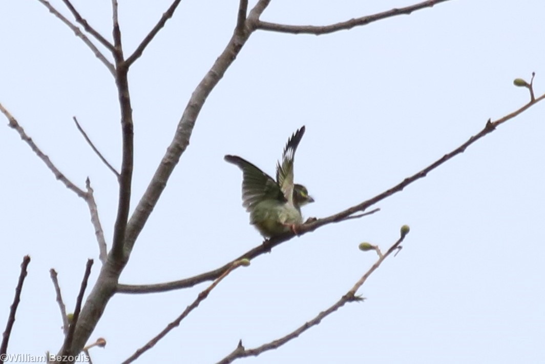 ID? - Baan Maka Chalets