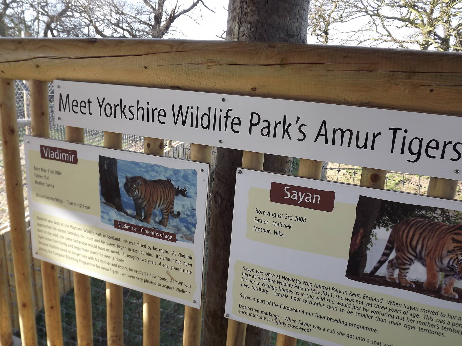 ID Boards at Yorkshire Wildlife Park 18/02/12