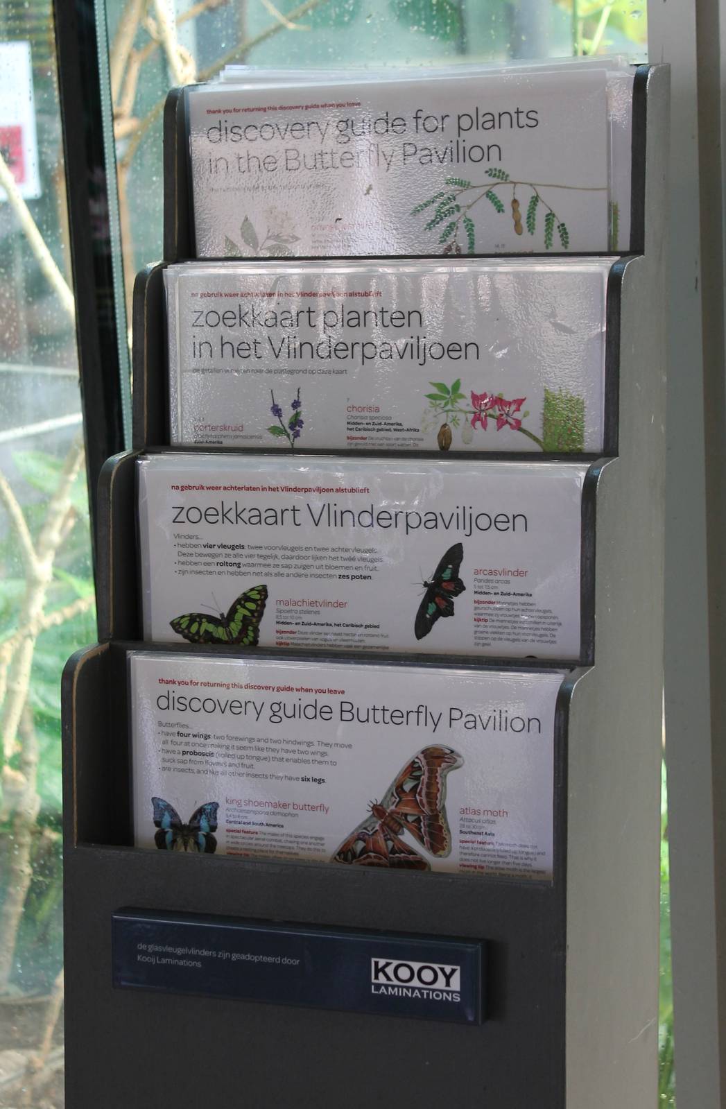 ID-cards Butterfly-walk-through