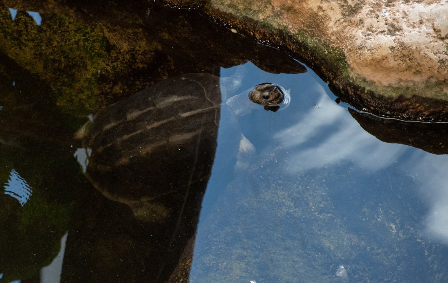 ID - Haus des Meeres