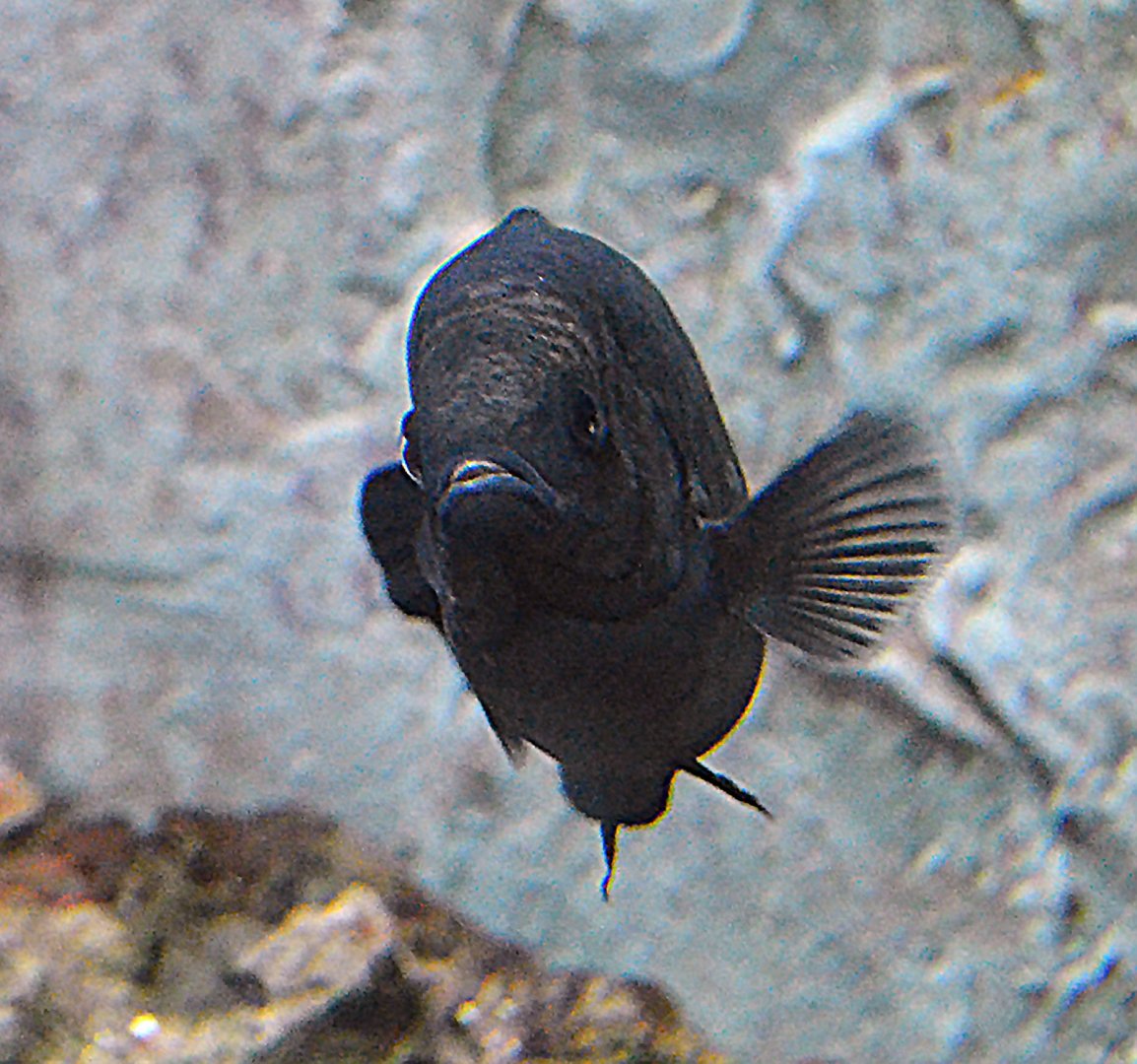 ID Help please? Taken  12 07 2012